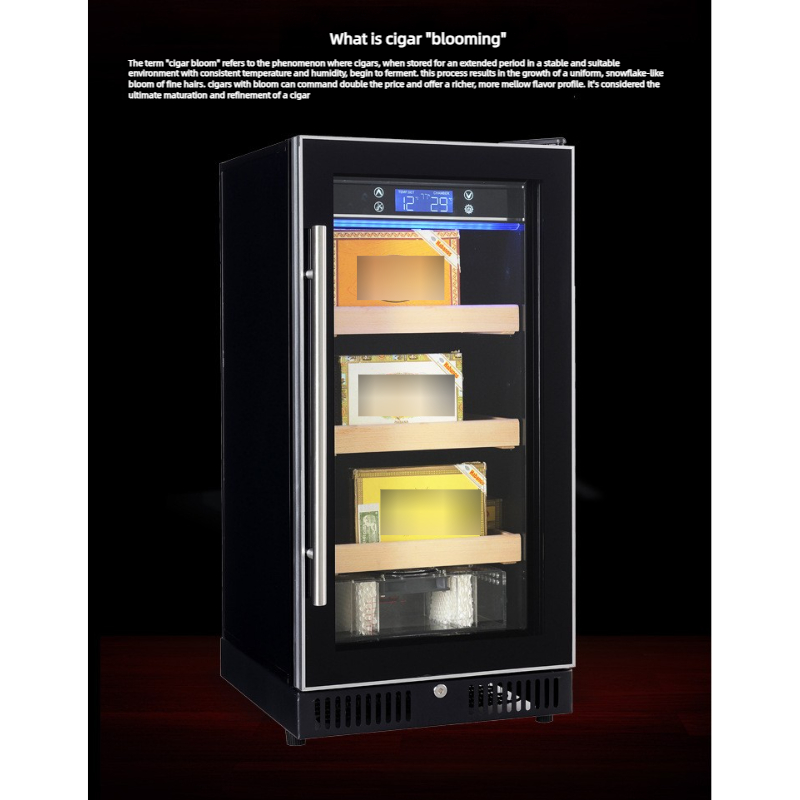 150-300 Puro Kapasiteli Kompre - Home Bar And Cabinet incelemesi ve fiyatı